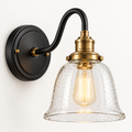 Brookwilden Black Brass Seeded Glass Bell Wall Sconce product photograph 1